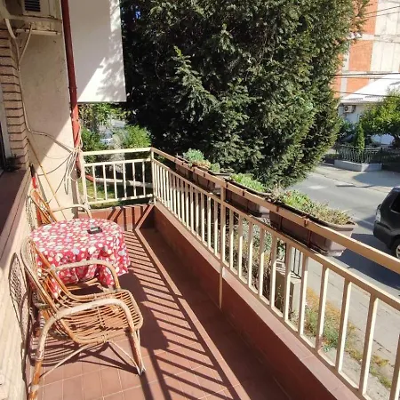 Cozy سكوبجي